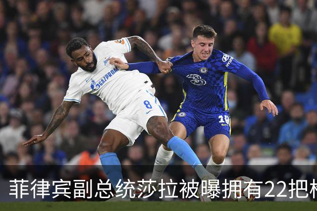 菲律宾副总统莎拉被曝拥有22把枪，检方追问为什么不在资产表里